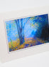 Deep Forest (Photo Card)