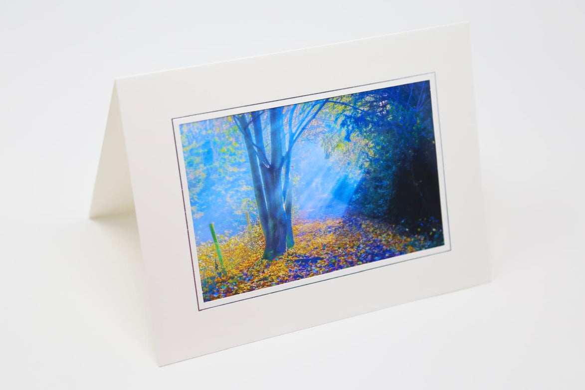Deep Forest (Photo Card)