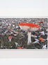 Fly Agarics (Photo Card)