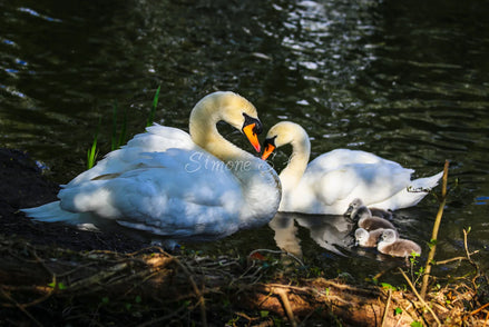 A Happy Family (photo)