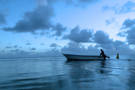Alone (photo)