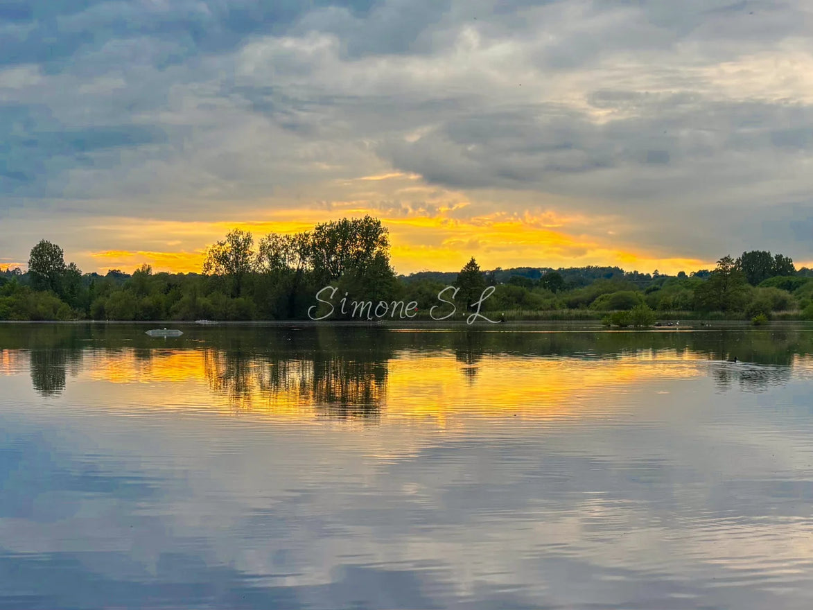 Beautiful Sunset (photo)