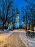 Beautiful Winter (photo)