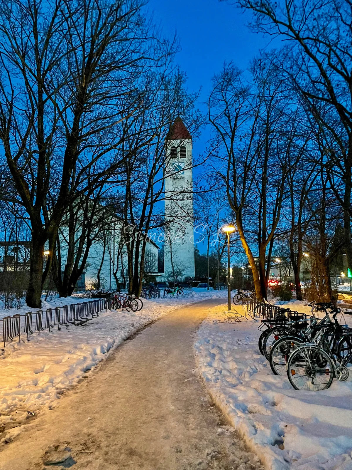 Beautiful Winter (photo)