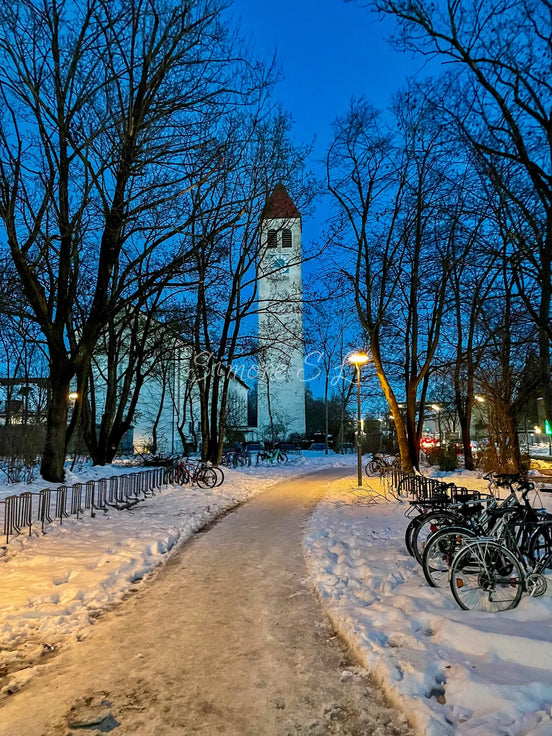 Beautiful Winter (photo)