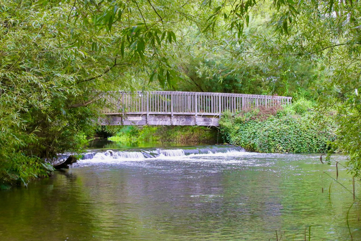 Bridge in Wilderness (photo)