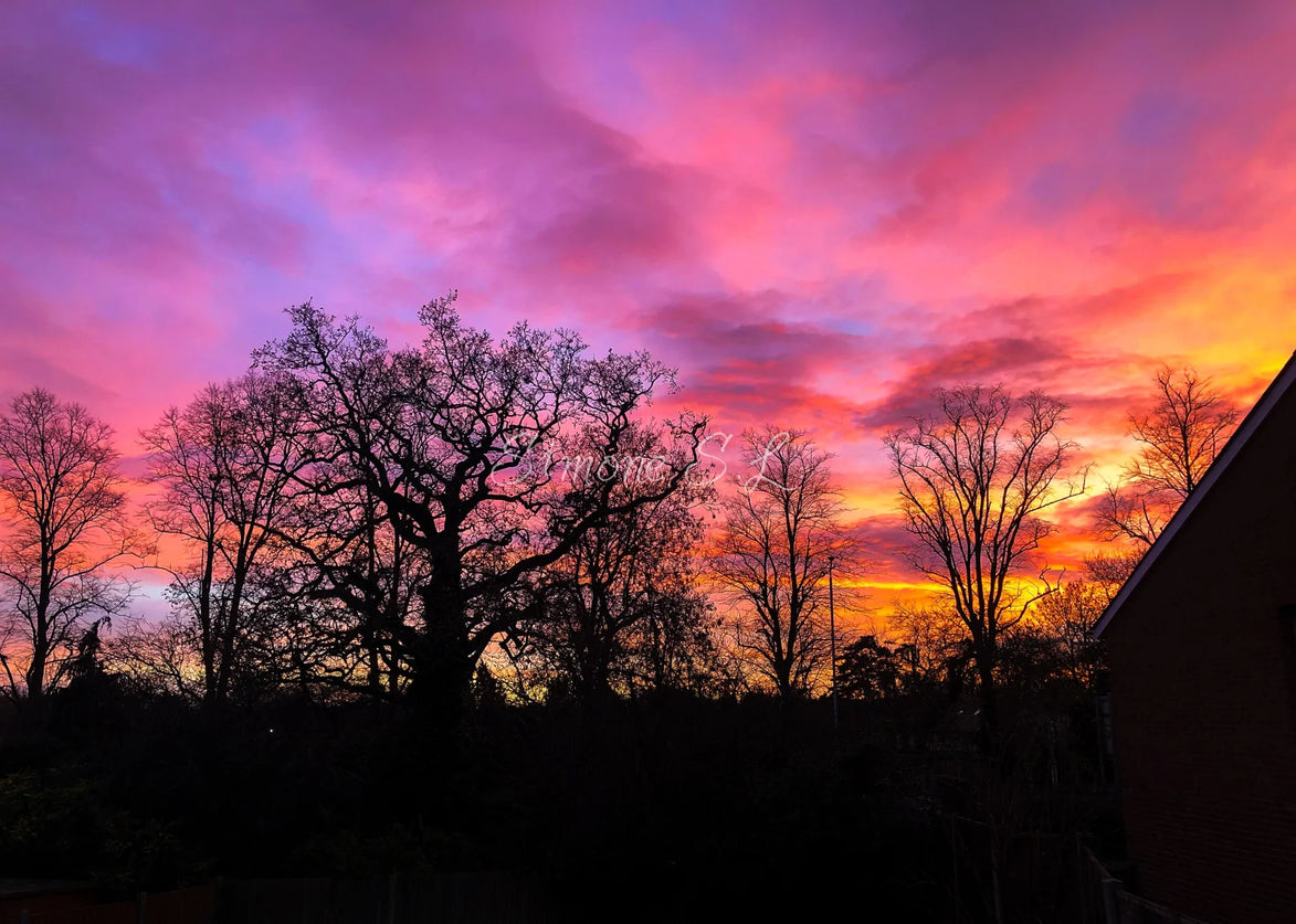 Candy Floss Sky (photo)