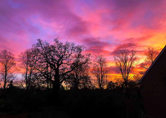 Candy Floss Sky (photo)