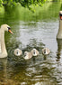 Family Outing (photo) - 1