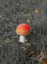Fly Agaric In Wonderland - Portrait Shot (photo)