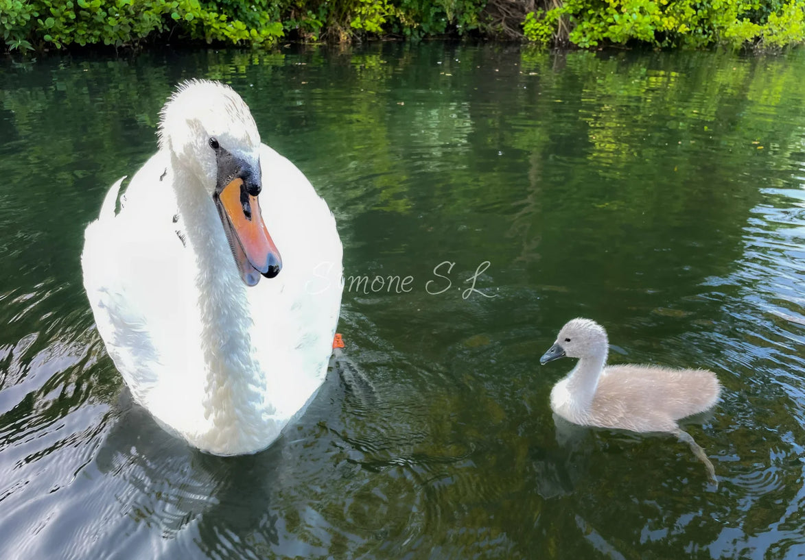 Mother & Child (photo)