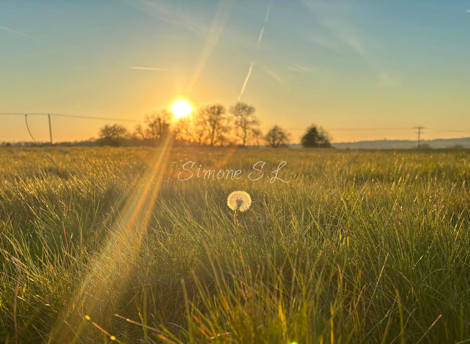 Nature 10 (photo)
