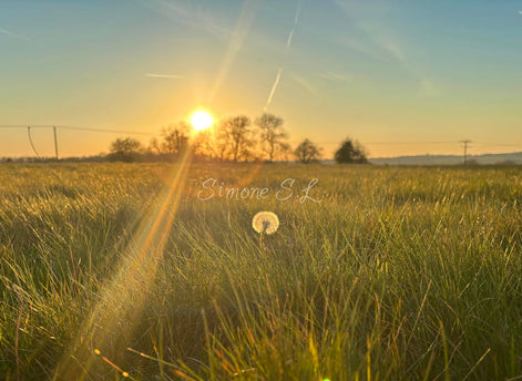 Nature 10 (photo)