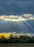 Nature 11 (photo) - 1
