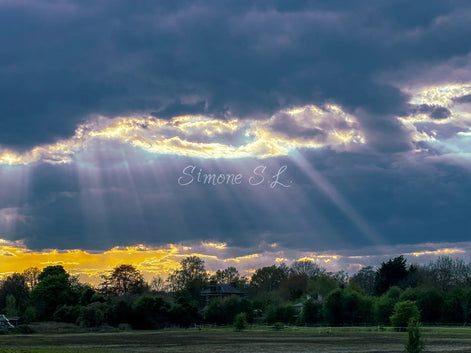 Nature 11 (photo) - 2