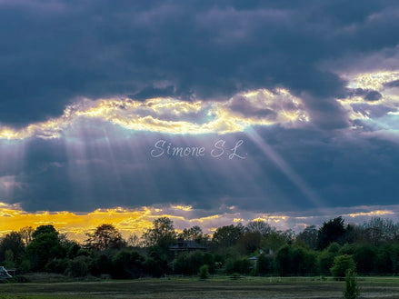Nature 11 (photo) - 2