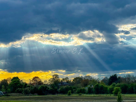 Nature 11 (photo) - 3