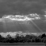 Nature 11 (photo) - 4