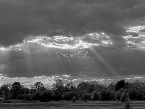 Nature 11 (photo) - 4