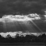 Nature 11 (photo) - 5