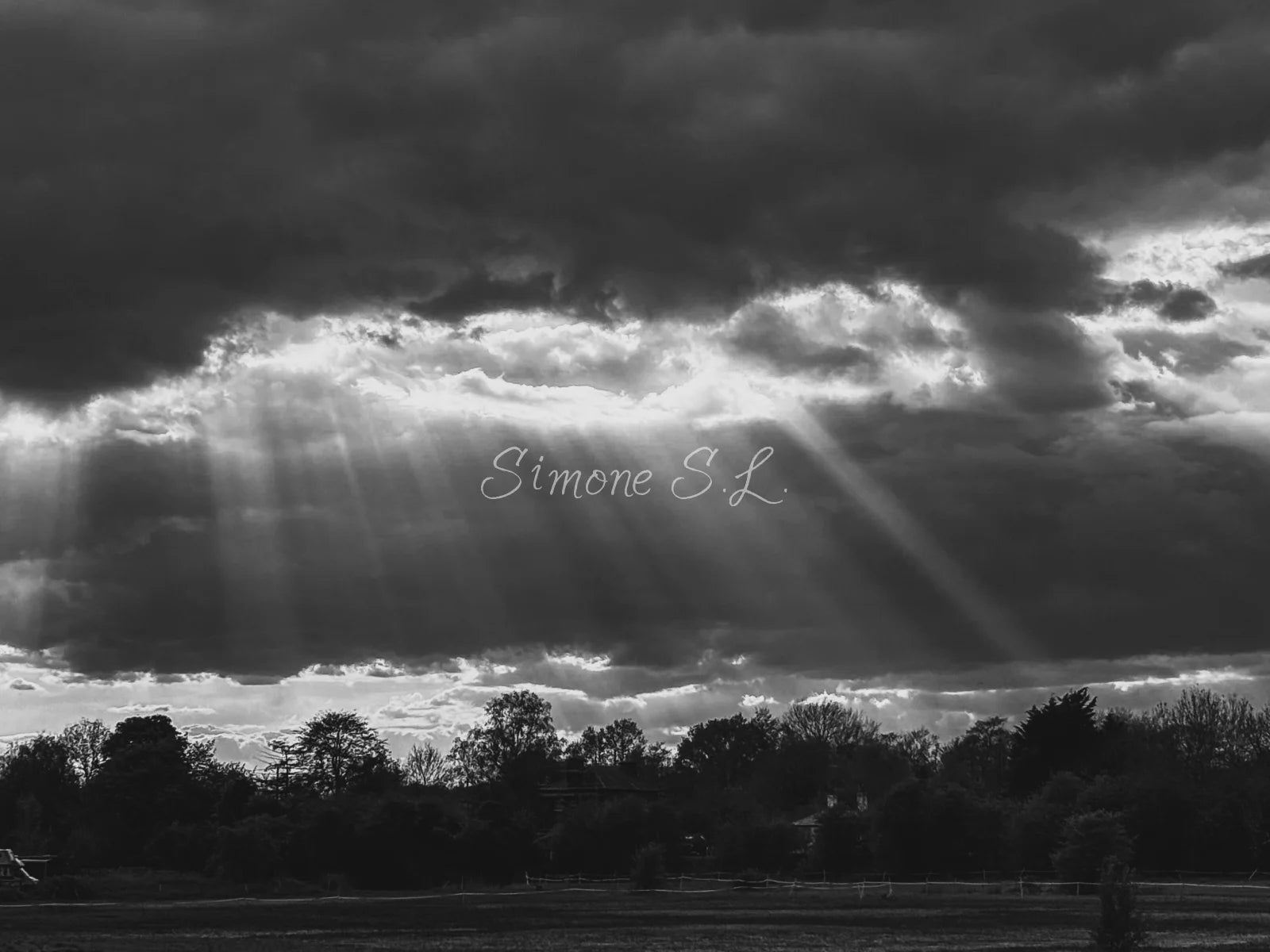 Nature 11 (photo) - 5
