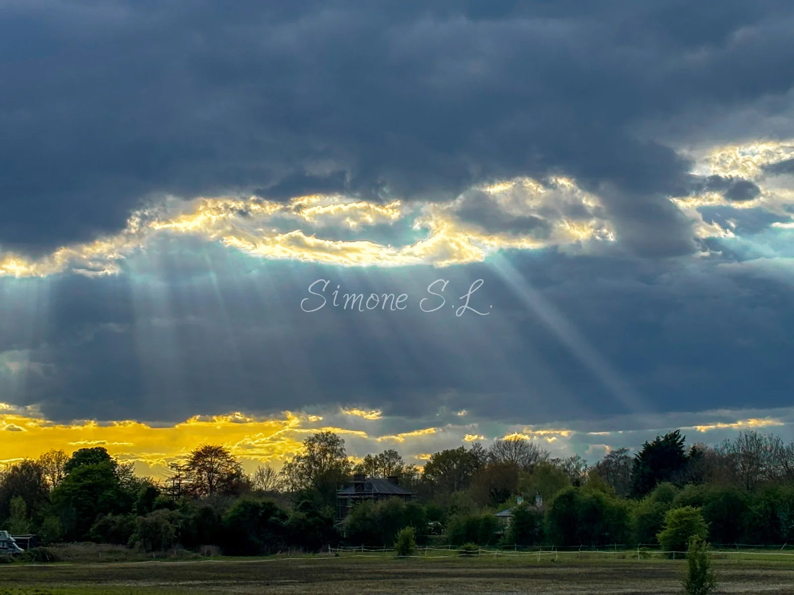 Nature 11 (photo)