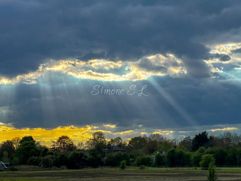 Nature 11 (photo)