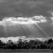 Nature 11 (photo) - 6
