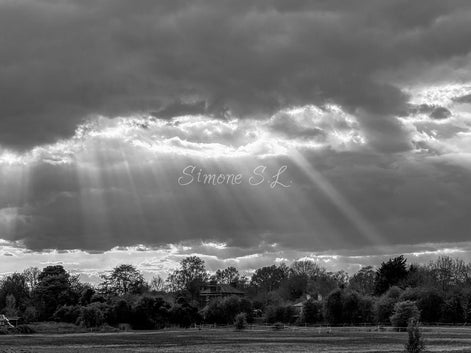 Nature 11 (photo) - 6