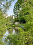 Nature 12 (photo)