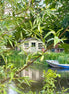Nature 13 (photo)