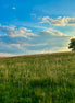 Nature 14 (photo) - 1