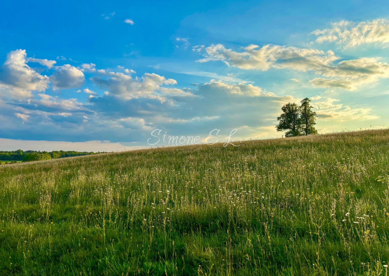 Nature 14 (photo) - 1