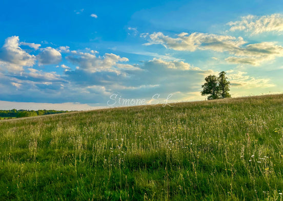 Nature 14 (photo) - 1