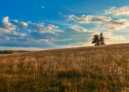 Nature 14 (photo) - 2
