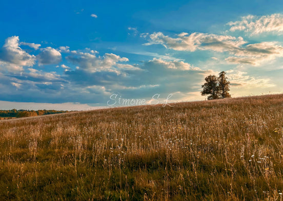 Nature 14 (photo) - 2