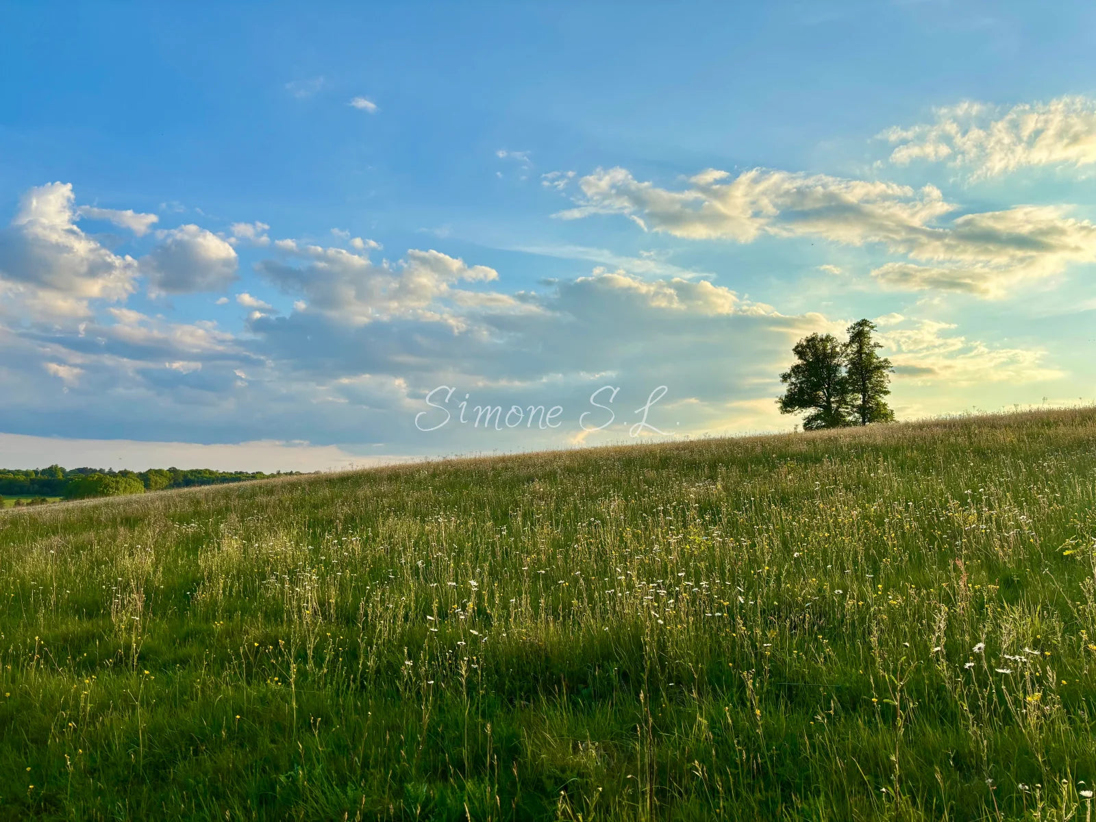 Nature 14 (photo)