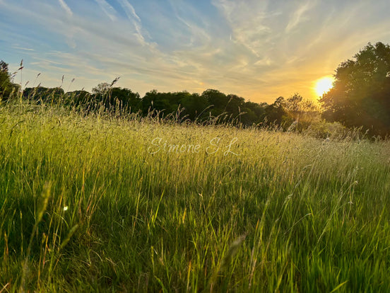 Nature 18 (photo)