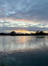 Nature 19 (photo)
