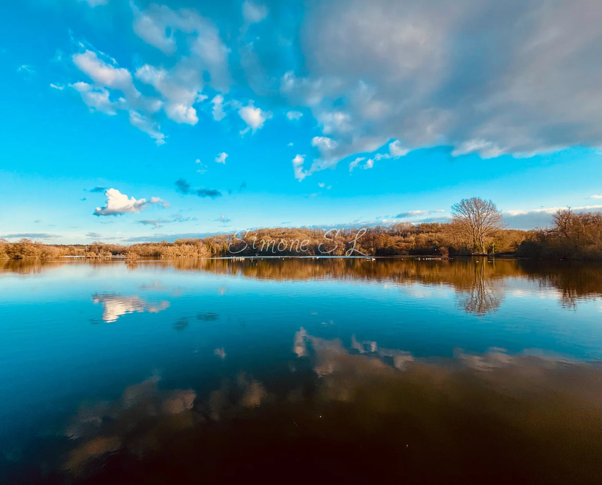 Nature 2 (photo)