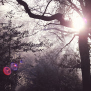 Nature 23 (photo) - 1