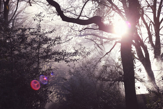 Nature 23 (photo) - 1