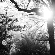 Nature 23 (photo) - 2