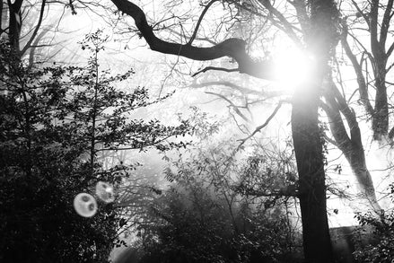 Nature 23 (photo) - 2