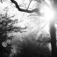 Nature 23 (photo) - 3