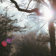 Nature 23 (photo) - 4