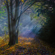 Nature 24 (photo) - 10