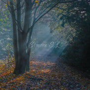 Nature 24 (photo) - 13