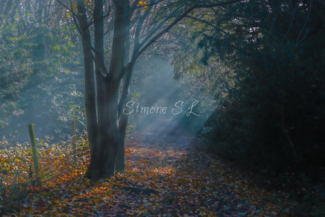 Nature 24 (photo) - 13