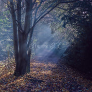 Nature 24 (photo) - 14